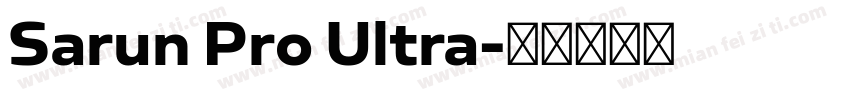Sarun Pro Ultra字体转换